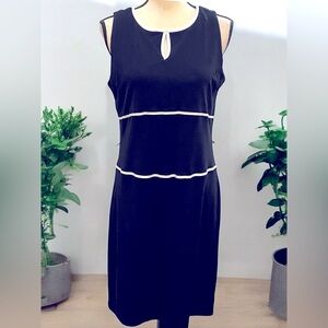 Petite Sophisticate Rayon/Poly Career Dress Sz L